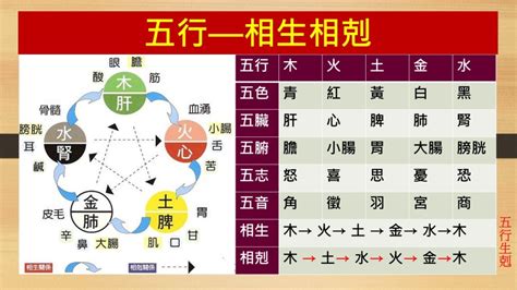 五行屬性怎麼看|母子五行相剋怎麼做才能化解？